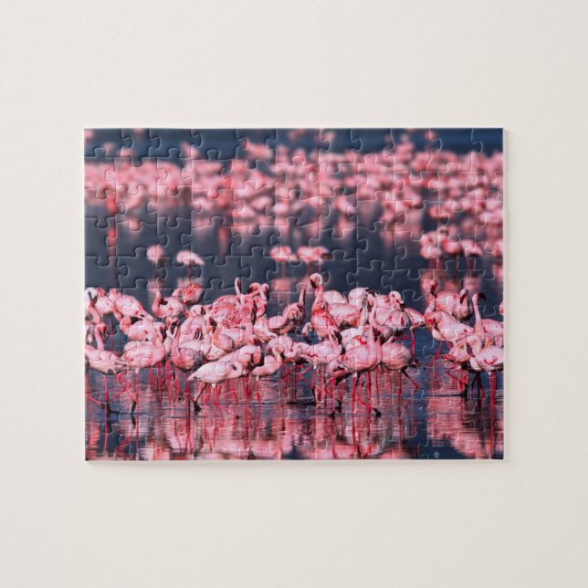 Quebra-cabeça Flamingos-menores (Phoeniconaias minor), África, (Horizontal)