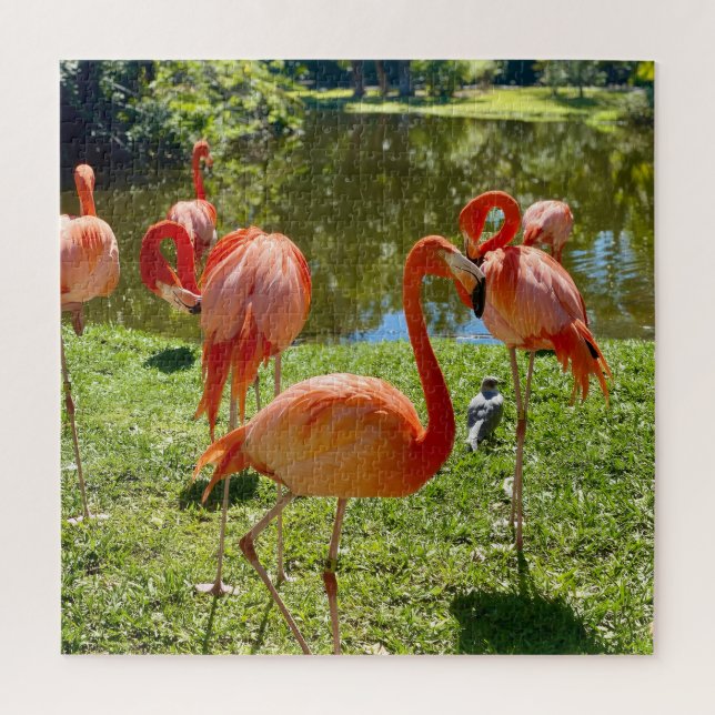 Quebra-cabeça Flamingos Rosa, Jardins (Vertical)