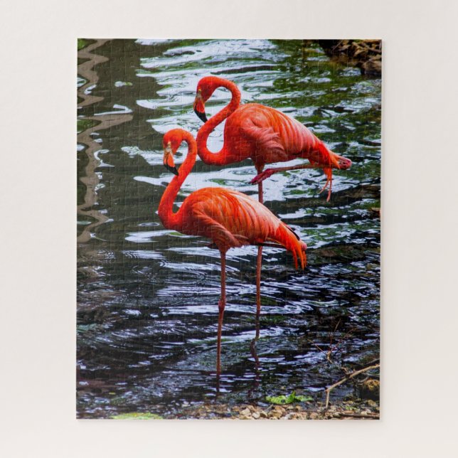 Quebra-cabeça Flamingos Rosa na Água (Vertical)