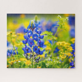 Quebra-cabeça Flor Bluebonnet do Texas com amarelo