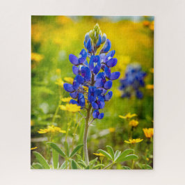 Quebra-cabeça Flor Bluebonnet do Texas com amarelo