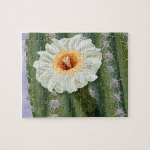 Quebra-cabeça Flor Branca de Saguaro Cactus Ilustrada