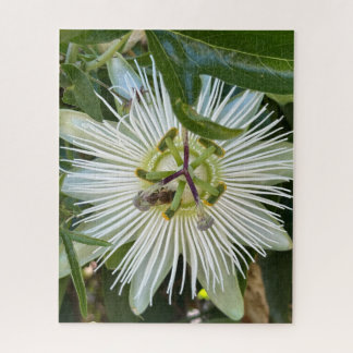 Quebra-cabeça Flor da Paixão Branca com Abelha, Oakland