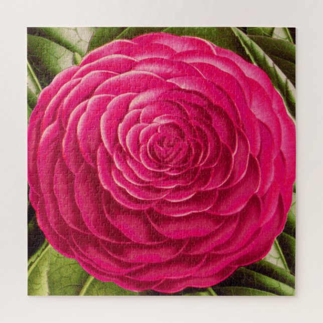Quebra-cabeça Flor de Camellia Grande, Rosa de Fuchsia (Vertical)