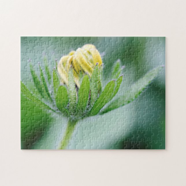 Quebra-cabeça Flor de Cone Flower em Flor (Horizontal)