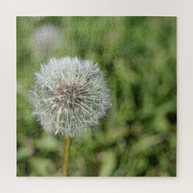 Quebra-cabeça Flor de dandelion branco sobre grama verde (Vertical)