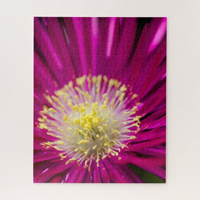 Quebra-cabeça Flor de geleiras rosa (Vertical)