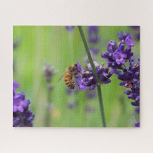 Quebra-cabeça Flor de Lavanda de colheita de mel