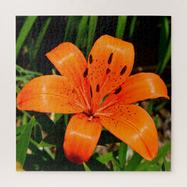 Quebra-cabeça Flor de Lily Asiática, laranja-vibrante (Vertical)