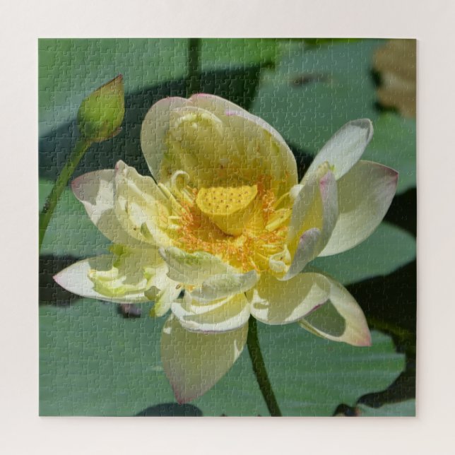 Quebra-cabeça Flor de Lotus bonito (Vertical)