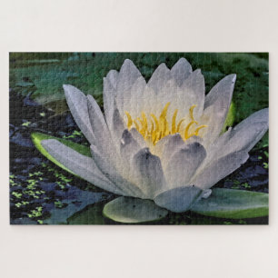 Quebra-cabeça Flor de Lotus Branca brilhante