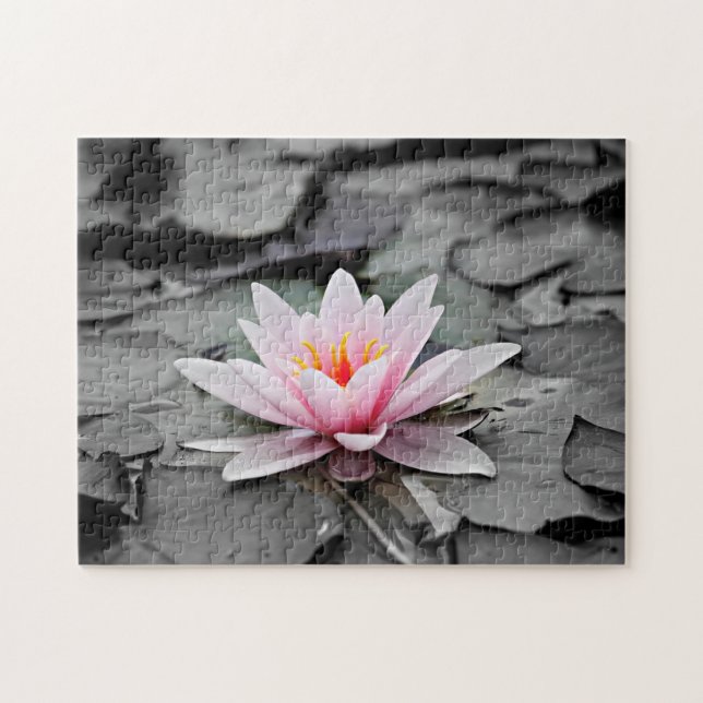 Quebra-cabeça Flor de Lotus Rosa (Horizontal)