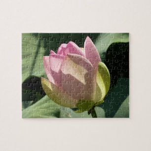 Quebra-cabeça Flor de Lotus Rosa Brilhante Verão