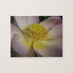 Quebra-cabeça Flor de Lotus Rosa I Verão Floral