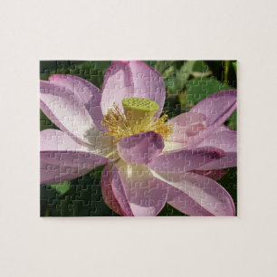 Quebra-cabeça Flor de Lotus Rosa II Verão Floral