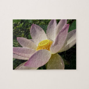 Quebra-cabeça Flor de Lotus Rosa III Verão Floral