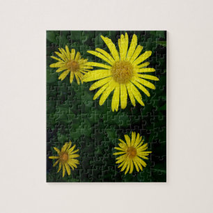 Quebra-cabeça Flor de Minnesota Perene Amarelo