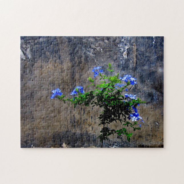 Quebra-cabeça Flor de Plumbago Azul (Horizontal)