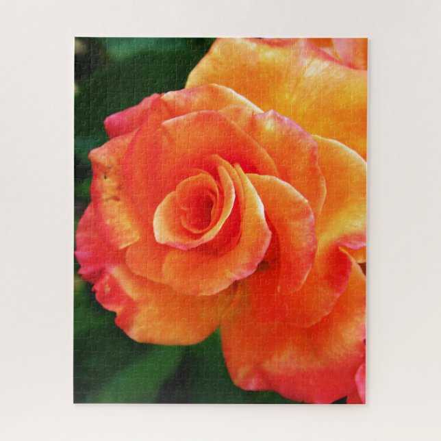 Quebra-cabeça Flor de rosa laranja (Vertical)