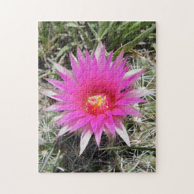 Quebra-cabeça Flor do cacto bola F12 "Escobaria vivipara" (Vertical)