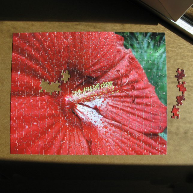 Quebra-cabeça Flor Do Fireball Hibiscus Com Foto De Gotas De Chu (Red Fireball Hibiscus Flower With Raindrops Photo Jigsaw Puzzle, in situ)