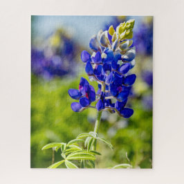 Quebra-cabeça Flor do Texas Bluebonnet
