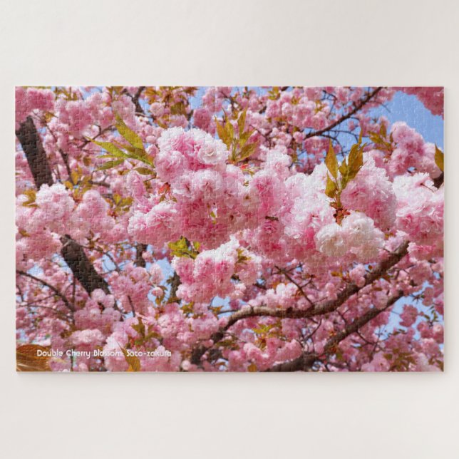 Quebra-cabeça Flor Duplo de Cereja: Sato-zakura (Horizontal)