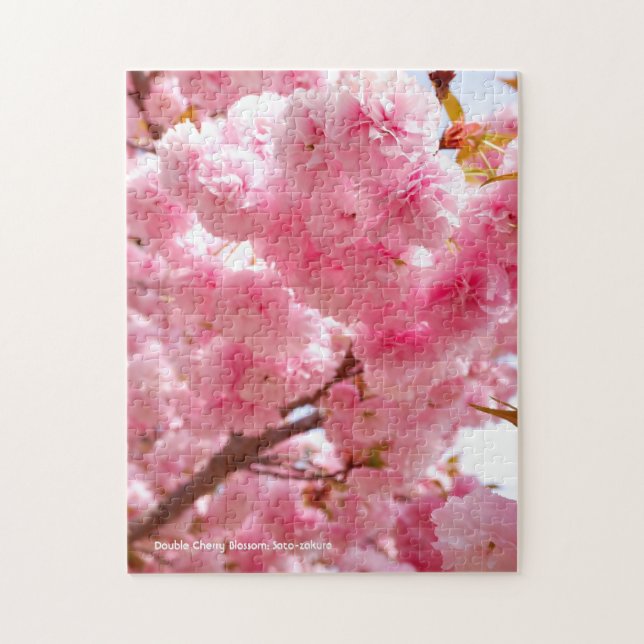 Quebra-cabeça Flor Duplo de Cereja: Sato-zakura (Vertical)
