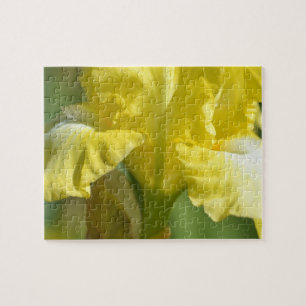 Quebra-cabeça Flor Iris Amarelo