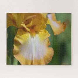 Quebra-cabeça Flor Iris Amarelo