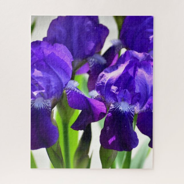 Quebra-cabeça Flor Iris Roxo (Vertical)