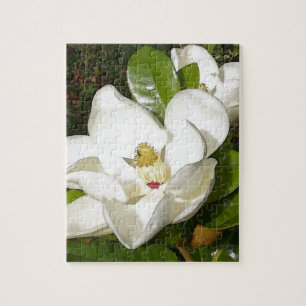 Quebra-cabeça Flor Magnolia