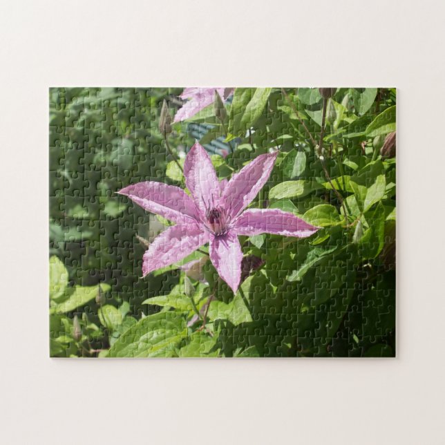 Quebra-cabeça Flor roxa em forma de estrela com seis lados (Horizontal)