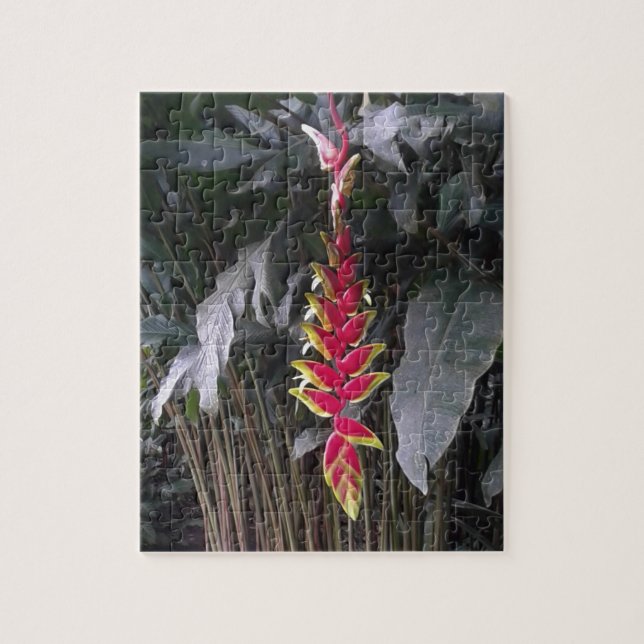 Quebra-cabeça Flor tropical (Vertical)