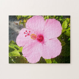 Quebra-cabeça Flor Tropical de Hibiscus Rosa