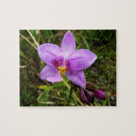 Quebra-cabeça Flor Tropical Roxo de Orquídea Selvagem