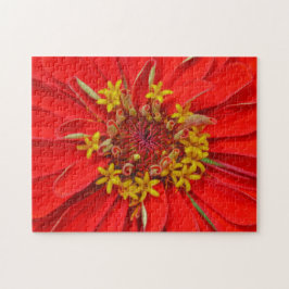 Quebra-cabeça Flor Vermelha Profunda Close Up Puzzle Floral