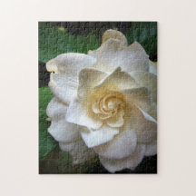 Flor White Gardenia