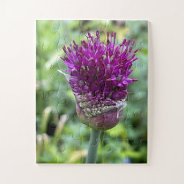 Quebra-cabeça Floração Roxa da Memória | Flor de Allium Botânica