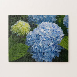 Quebra-cabeça Floral Blue Hydrangea Foto