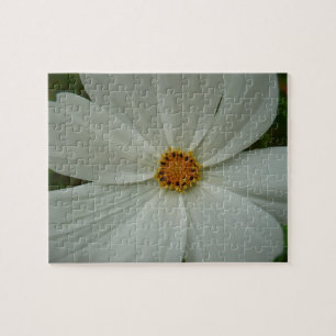 Quebra-cabeça Floral de Flor Selvagem de Verão do Cosmos Branco