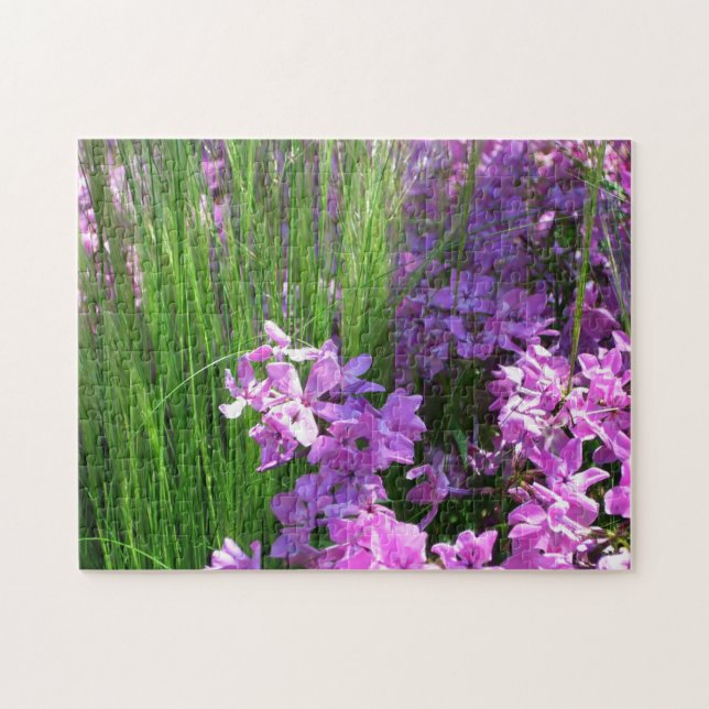 Quebra-cabeça Floral de Verão de Flox e Grama Rosa (Horizontal)