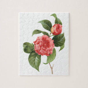 Quebra-cabeça Floral de Vintage, Flores de Camellia Rosa por Red