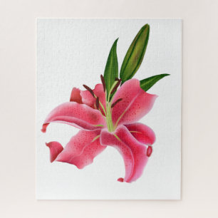 Quebra-cabeça Floral Rosa Lily