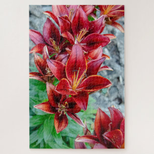 Quebra-cabeça Floral Stargazer Lily, Flor Vermelho Canadense