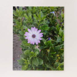 Quebra-cabeça Flores