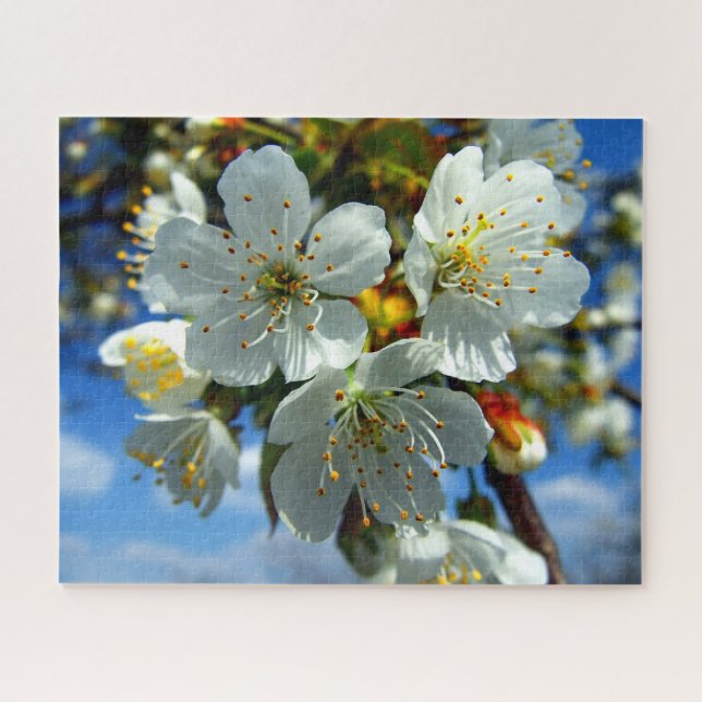 Quebra-cabeça Flores brancas de maçã em flor (Horizontal)