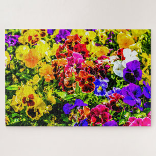 Quebra-cabeça Flores Coloridas de Amor-Perfeito