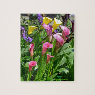Quebra-cabeça Flores coloridas do lírio de calla
