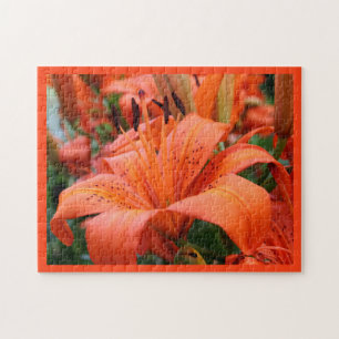 Quebra-cabeça [Flores Coloridas] Tiger Lily